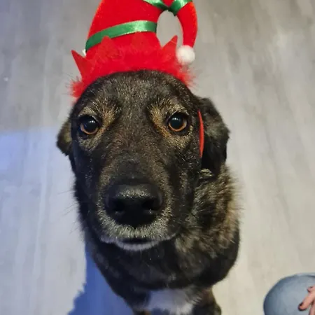 Hotel-barbarossa-garni Bei Hanau