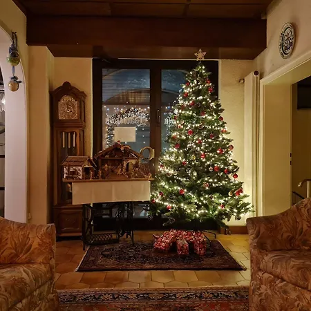 Hotel Hotel-barbarossa-garni Bei Hanau