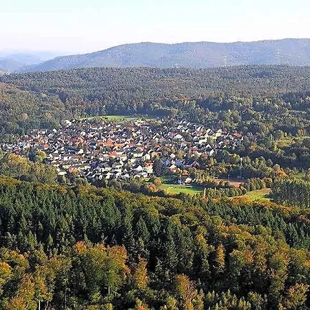 Hotel-barbarossa-garni Bei Hanau 3* رودنباخ